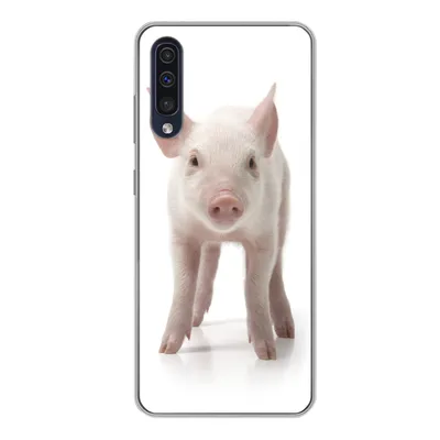 Produktbild von MuchoWow® Handyhülle Schutzhülle Hülle für Samsung Galaxy A50 Schwein - Tiere - Weiß Silikon Softcase Handy Hülle - Mobiltelefonhülle