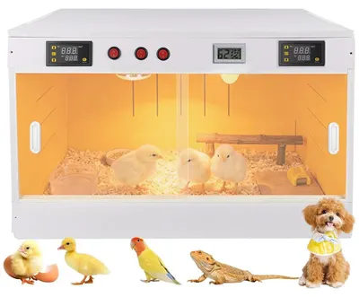 Productafbeelding van Broedbak voor kuikens, 2-in-1 broedbak voor vogels en reptielen