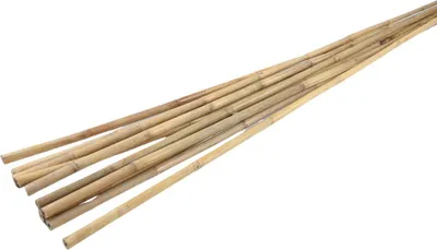 Image de 10x tiges de bambou Tige Décoration Ménage Support de plantes grimpantes