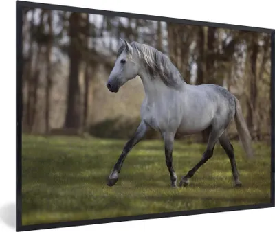 Produktbild von MuchoWow® Gerahmtes Poster Pferd - Pilz - Gras 90x60 cm - Poster mit Schwarzem Bilderrahmen Wandposter Rahmen Foto Bilder - Fotorahmen - Foto-Plakat