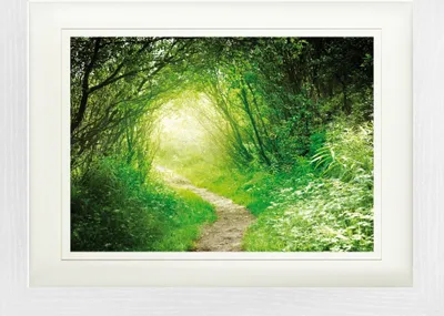Obrázek produktu pro Lesy Zarámovaný obraz s elegantním paspartou | Wall Art | V rámu - Zelená lesní cesta, Do světla (30 x 40 cm)