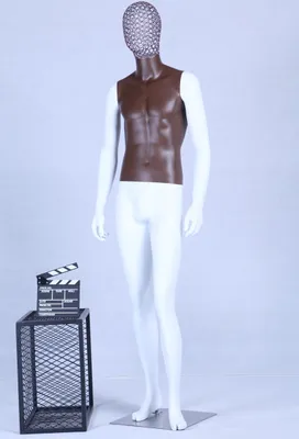 Image de AB+100W Mannequin blanc laqué mat Poitrine brune de haute qualité Grille métallique Tête avec plaque métallique Homme