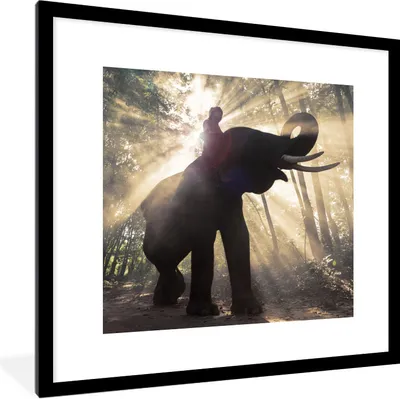 Produktbild von MuchoWow® Gerahmtes Poster Elefant mit Person in hellem Sonnenlicht 40x40 cm - Poster mit Schwarzem Bilderrahmen Wandposter Rahmen Foto Bilder - Poster - Plakat im Rahmen