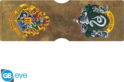 Zdjęcie produktu dla Etui na karty kredytowe i lojalnościowe Harry'ego Pottera - Slytherin
