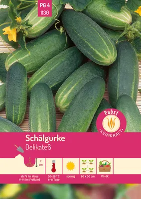 Produktbild von Pabst Keimkraft - Schälgurke früh & mittellang Delikateß Samen - 171130