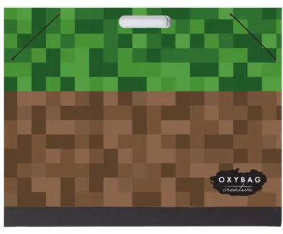 Obrázek produktu pro OXYBAG Laminované desky A3 PICASSO Playworld