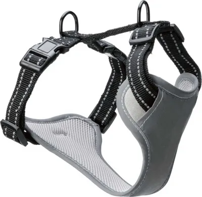 Produktbild von Zoofari Hundegeschirr reflektierend XS