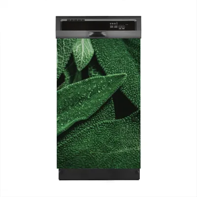 Produktbild von Magnete Dekorative 45x70 cm Küche Magnetmatte Spülmaschine - frischem Salbei