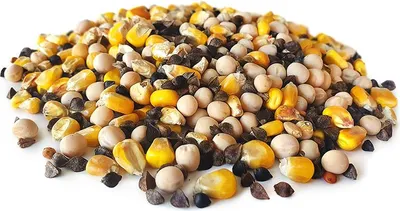 Produktbild von Ultimate Partikel Mix 2,5KG | Karpfen futter