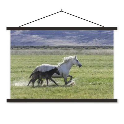Produktbild von MuchoWow® Textilposter Pferde - Fohlen - Braun 90x60 cm mit schwarzem Rahmen - Aufhängungssatz