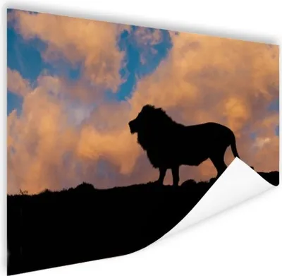 Produktbild von MuchoWow® Poster Löwe - Sonnenuntergang - Wild 120x90 cm - Wandbild
