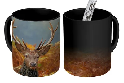Obrázok produktu pre MuchoWow® Magický pohár Jeleň - strom - jeseň 350 ml Pohár na zmenu farby Darček Nápad na darček - Foto hrnček