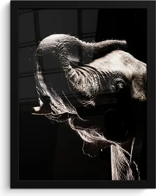 Produktbild von MuchoWow® MuchoWow® Gerahmtes Poster Elefant - Schwarz - Tiere - Porträt 30x40 cm - Poster mit zchwarzem Bilderrahmen - Wanddeko - Kunstdrucke