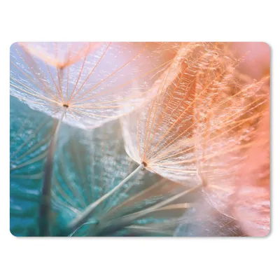 Produktbild von MuchoWow® Mauspad Mousepad Blume - Löwenzahn - Pflanze 40x30 cm - Mousepads - Maus Mat - Pad - Mausunterlage - Anti Rutsch