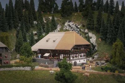 Obrázok produktu pre Faller, model "Schwarzwaldhof" k jubileu, číslo 232010