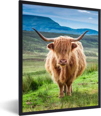 Produktbild von MuchoWow® Gerahmtes Poster Schottischer Hochländer - Kuh - Natur - Berg - Gras 60x80 cm - Poster mit Schwarzem Bilderrahmen Wandposter Rahmen Foto Bilder - Premium - Wanddeko Wohnzimmer
