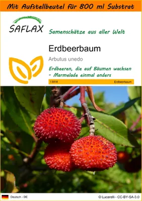 Produktbild von SAFLAX Garden in the bag - Erdbeerbaum - Arbutus unedo - 50 Samen - Mit Anzuchtsubstrat im praktischen, selbst aufstellenden Beutel