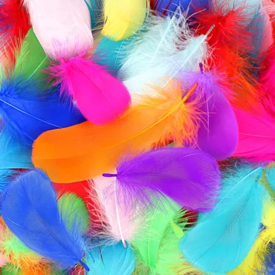 600 bunte Bastelfedern, Naturfedern, 5-12 cm, DIY, Traumfänger, Deko