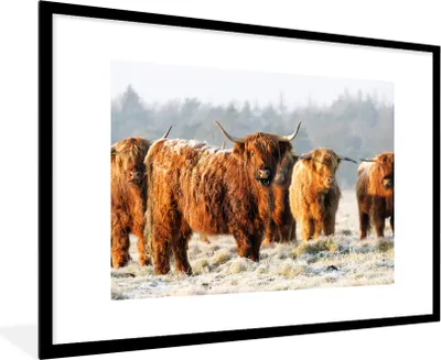 Produktbild von MuchoWow® MuchoWow® Gerahmtes Poster Schottische Hochlandrind - Schnee - Wald 90x60 cm - Poster mit zchwarzem Bilderrahmen - Wanddekoration - Fotos