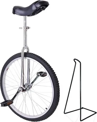 Image de Funsport Monocycle 24" Chrome