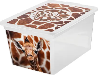 Produktbild von Aufbewahrungsbox Korb Kunststoffbox mit Deckel