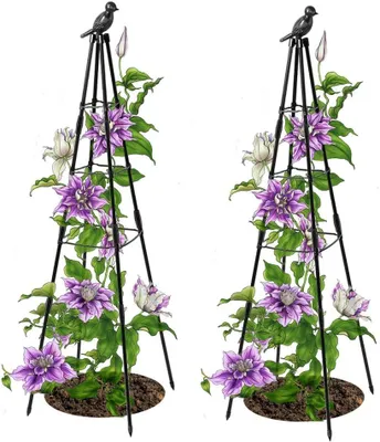 Obrázok produktu pre Plot pre popínavé rastliny, 2 kusy, výška 160 cm, vhodné pre paradajky a zeleninu