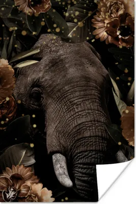 Produktbild von MuchoWow® Poster Elefant - Pflanzen - Gold 40x60 cm - Plakate für die Wand - Poster Babyzimmer