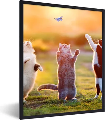 Produktbild von MuchoWow® Gerahmtes Poster Katzen - Schmetterling - Sonnenuntergang - Gras - Natur 60x80 cm - Poster mit Schwarzem Bilderrahmen Wandposter Rahmen Foto Bilder - Premium - Wanddeko Wohnzimmer