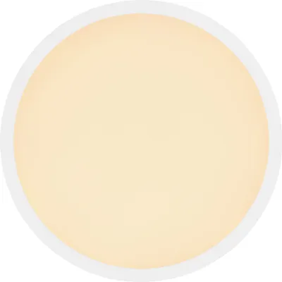 Zdjęcie produktu dla Lampa sufitowa LED 18W SAPANA 41562-18W Globo