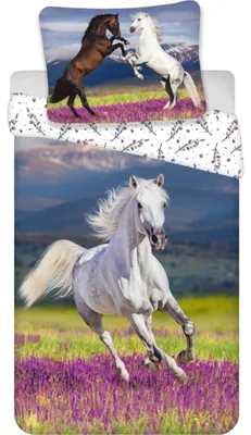 Imagen del producto de Ropa de cama de algodón, tamaño 140x200 cm + 1 funda de almohada de 70x90 cm, con motivos de caballos
