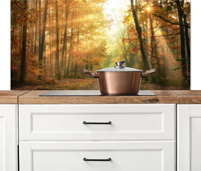 Produktbild von KitchenYeah®  Spritzschutz Küche - Küchenrückwand - Wandschutz für Herd und Spüle - Wald - Herbst - Sonne - Landschaft - Natur - Bäume - Laub 120x60 - Alu-Dibond (Alternative zum Spritzschutz aus Glas