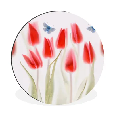 Produktbild von MuchoWow® Aluminium Wandkreis Bild von roten Tulpen Ø 60 cm Wanddeko Modern Wohnzimmer - Wand Kreis - Wandbild - Schlafzimmer - Aluminium Bild - Kinderzimmer - Wohnzimmer Dekoration - Wandschmuck