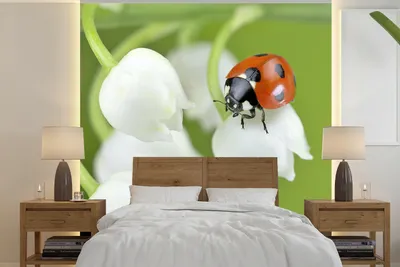 Produktbild von MuchoWow® Fototapete für Wohnzimmer oder Schlafzimmer Wandtapete Vinyl Motivtapete Eine Nahaufnahme eines Marienkäfers auf der Lilie von Dalen - 260x260 cm - Papiertapeten