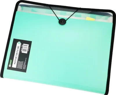 Immagine prodotto di D.RECT Set composto da cartella portadocumenti e taccuino, cartella a scomparti, cartella organizzativa, espandibile, portadocumenti, cartelle portadocumenti, elastico rotondo con bottone di chiusura, 7 scomparti A4, color menta