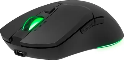 Image de SpeedLink SPEEDLINK SL-680102-BK souris Gaming USB Type-A 4800 DPI