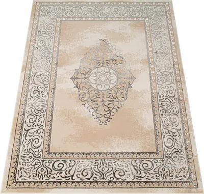 Produktbild von Tapiso Teppich ARES klassisch grau beige Wohnzimmer  300 x 400 cm