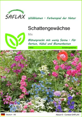 Produktbild von SAFLAX - Schattengewächse - Mix - 1000 Samen