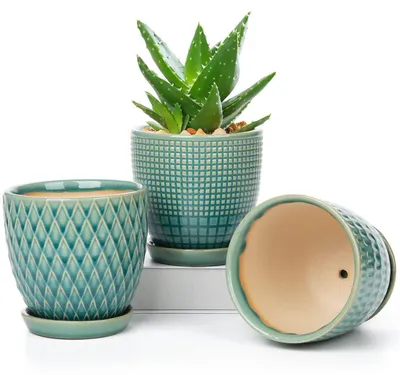 Zdjęcie produktu dla Zestaw 3 doniczek ceramicznych z otworem drenażowym i podstawką, idealnych do sukulentów i kaktusów, o średnicy 11,2 cm