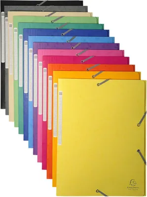Produktbild von Exacompta Sammelmappe mit Maxi Kapazität A4 sortiert