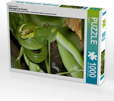 Produktbild von Calvendo Ein Motiv aus dem Kalender Schlangen im Portrait 1000 Teile Puzzle quer 640x480mm, CALVENDO; 7322293