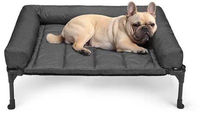 Image de Lit surélevé pour chien d'extérieur avec coussin amovible, lit surélevé rafraîchissant en maille Teslin pour la maison et le jardin, noir 81 x 64 x 18 cm