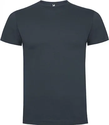 Produktbild von Roly CA6502 | Herren Dogo Premium T-Shirt, Single-Jersey - Farbe: Ebony 231 - Größe: S