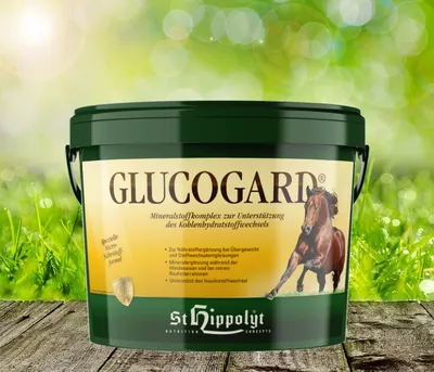 A bucket of horse feed with a background of green grass and bokeh lights.