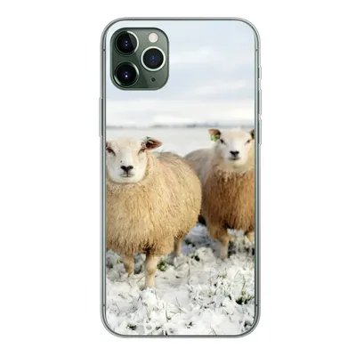 Produktbild von MuchoWow® Handyhülle Schutzhülle Hülle für iPhone 11 Pro Max Gruppe von neugierigen Schafen Silikon Softcase Handy Hülle - Schutz