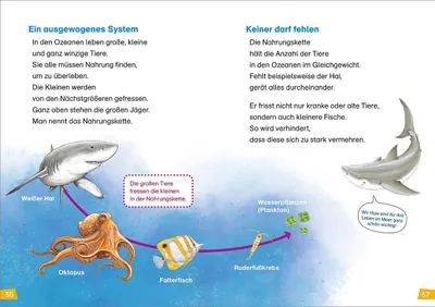 Produktbild von WAS IST WAS Erstes Lesen Band 16. Haie