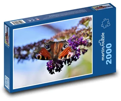 Zdjęcie produktu dla Puzzle 2000 Rusałka pawik na kwiecie - martinpuzzle