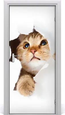 Produktbild von Tulup Türaufkleber 95x205 cm Dekorative Aufkleber Selbstklebend Wasserdichte Tapete Abnehmbar Schlafzimmer Wohnzimmer Wohnkultur - Katze Wand