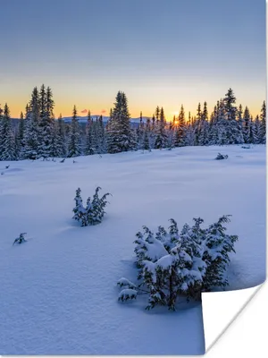 Produktbild von MuchoWow® Poster Winterlandschaft bei Sonnenaufgang 30x40 cm - Wandplakat - Poster Kinderzimmer