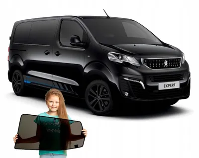 Produktbild von RayStop Sonnenschutz Peugeot Expert 3 (III) ab 2016 Magnetisch