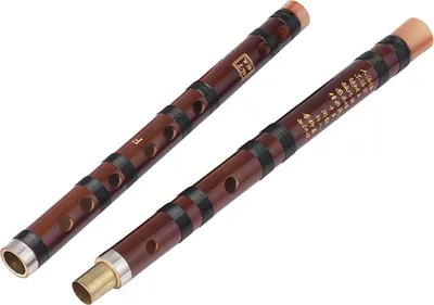 Image de POENVFPO Fl?tes chinoises en bambou, Instruments ? vent traditionnels C -Key -Dizi -Fl?tes en bambou avec Noeud chinois pour d?butants (touche F)